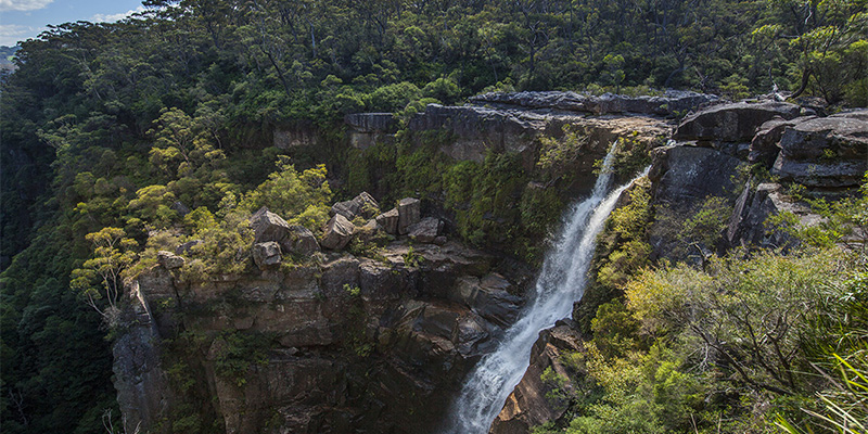 Kiama Forest Sydney to Kiama my nrma road trips