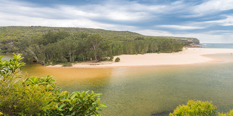Royal National Park my nrma road trips