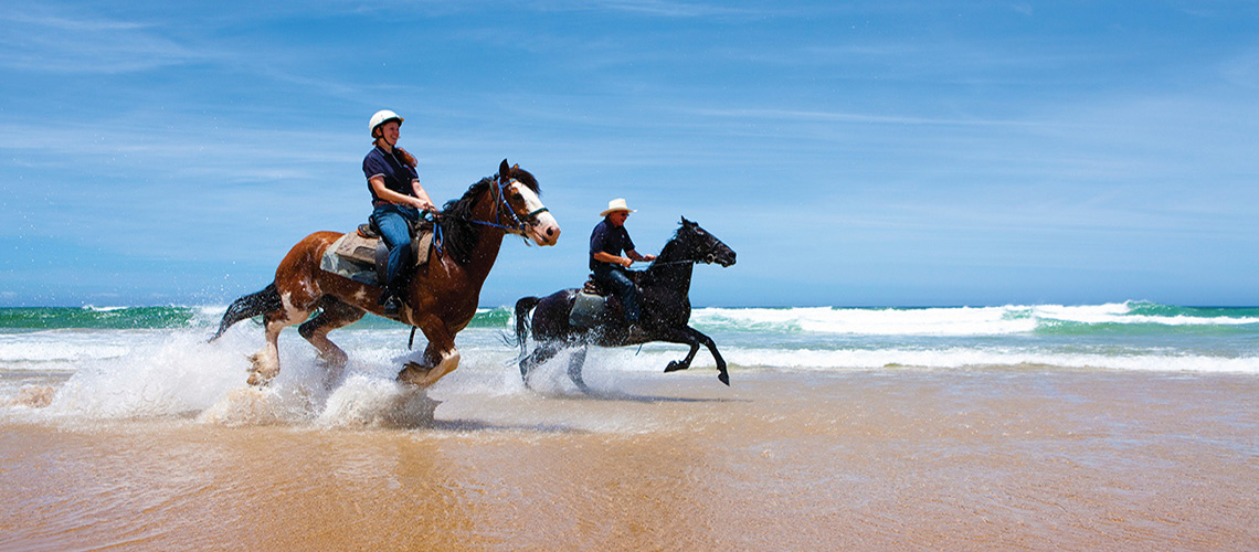 Horse Riding Port Stephens Sydney to Port Stephens my nrma road trips