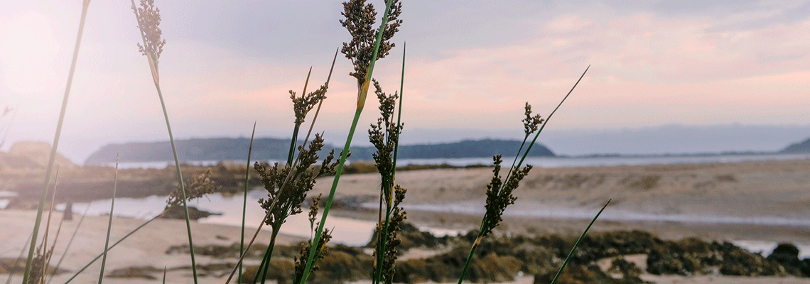 WollongongMerimbula_Web
