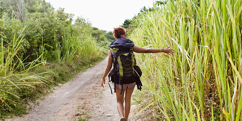 Woman wearing backpack walking between cane field 