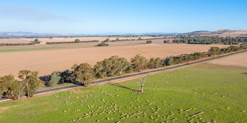 an aerial shot overlooking a farm on the outskirts of gundagai