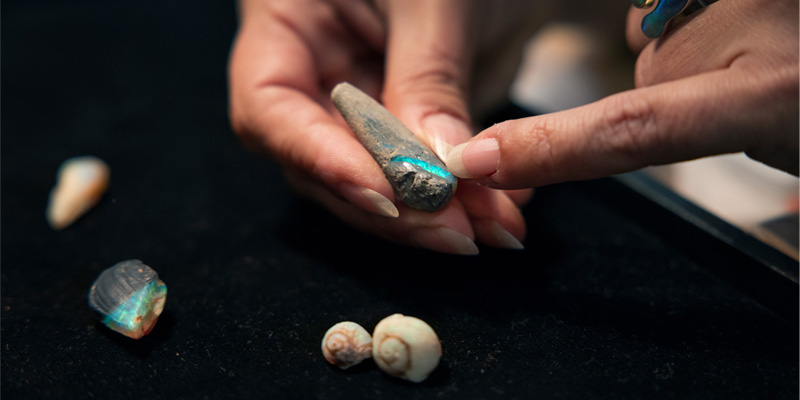 person holding a opal fragment