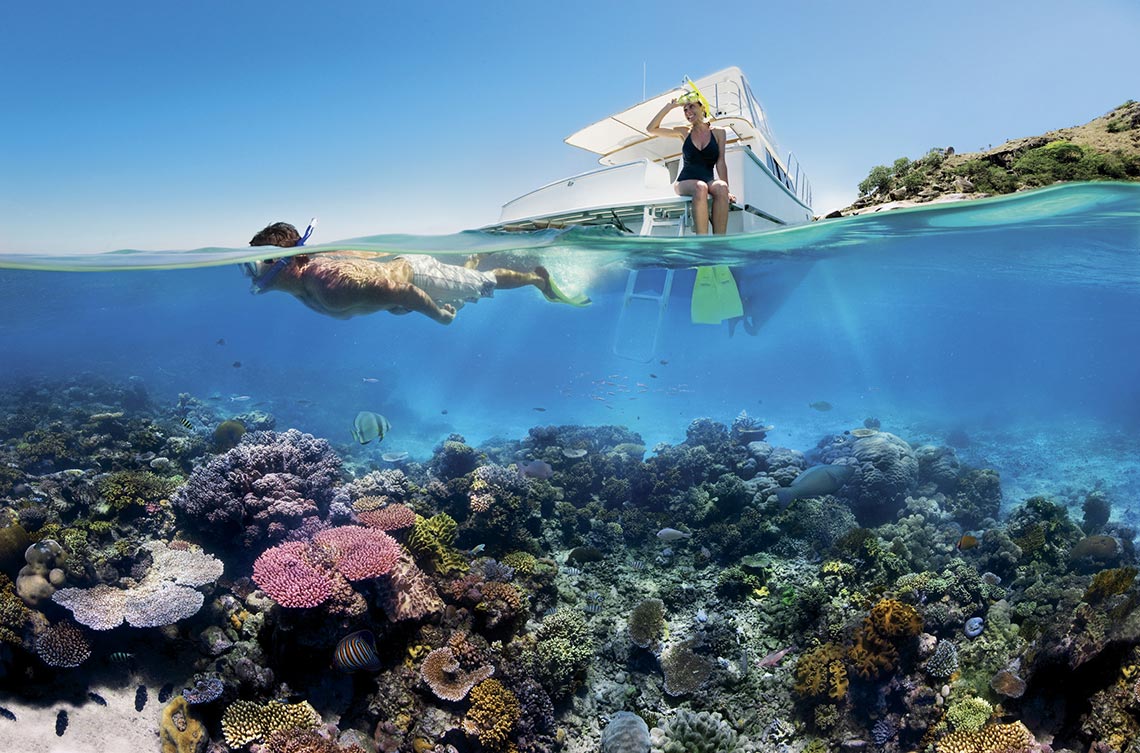 Reef snorkeling on the great barrier reef