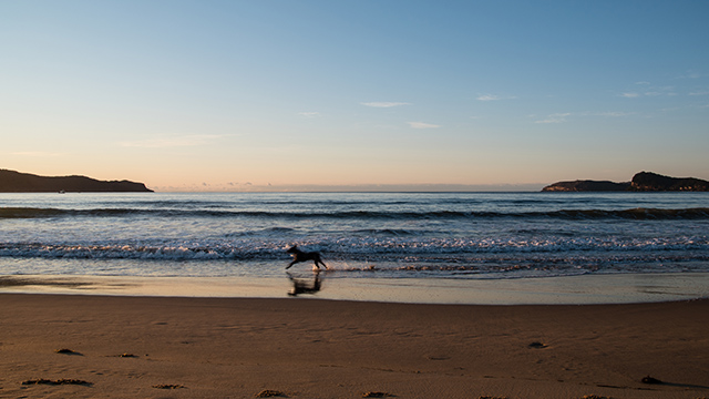 Ocean Beach Holiday Resort Central Coast The Child Within