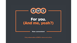 BWS