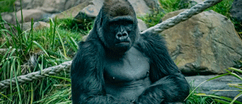 Hunter Valley Wildlife Park