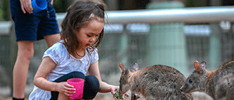 Featherdale Wildlife Park