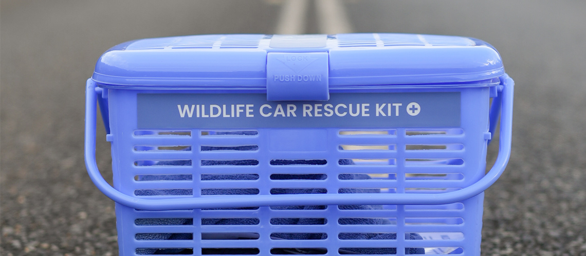 Wildlife-Car-Rescue-Kit-Desktop